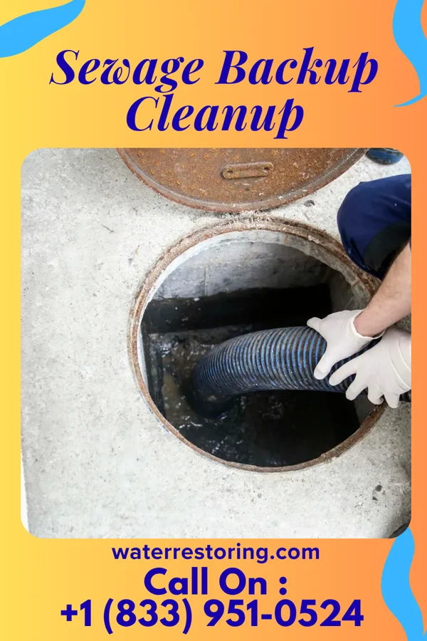 Sewage Backup Cleanup in Hilliard, OH