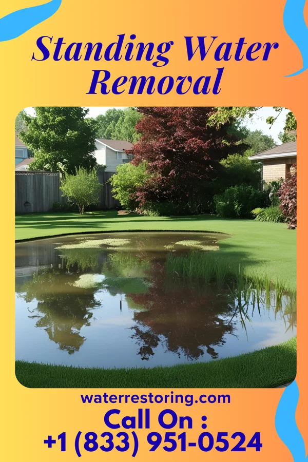 Standing Water Removal in Hilliard, OH